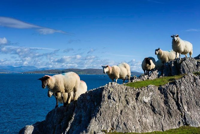 Private Tour to Gougane Barra and Glengarriff - Booking Information