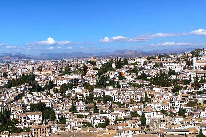 Private Tour to Granada From Seville With Visit to the Alhambra - Customer Reviews and Recommendations