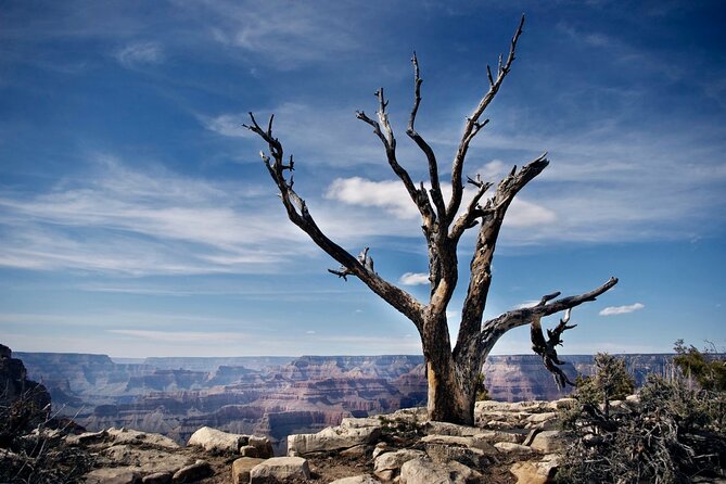 Private Tour to Grand Canyon From Las Vegas With Driver and Guide - Pickup Details
