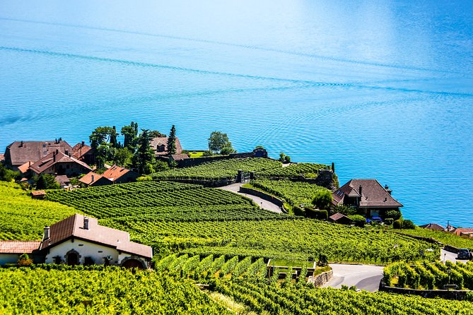 Private Tour to Gruyères, Chocolate & Cheese Factory From Geneva - Preparing for Your Trip