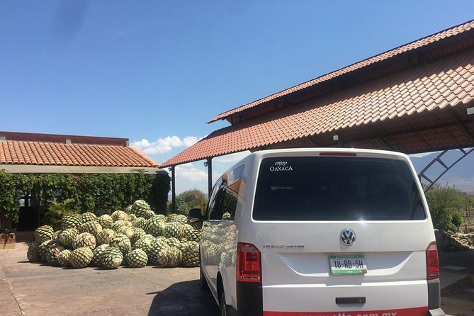 Private Tour to Hierve El Agua, Mezcal Tasting, and Textiles - Visiting Hierve El Agua