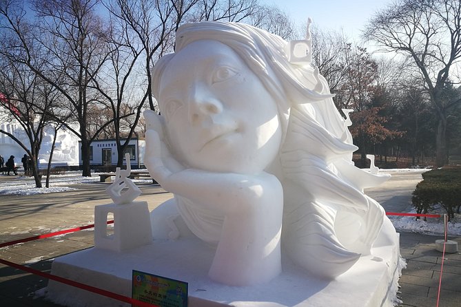 Private Tour to Ice and Snow Festival in Harbin - Private Tour Experience Details