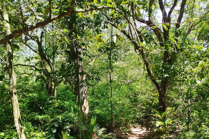 Private Tour to Jarabacoa Waterfalls From Santo Domingo - Health and Safety