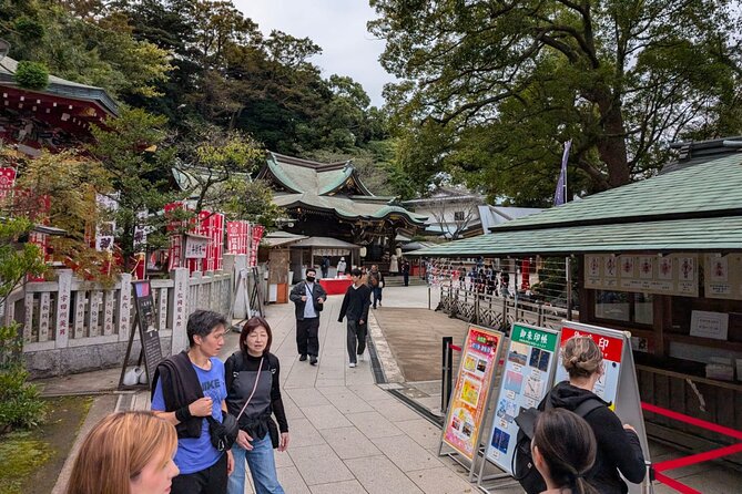 Private Tour to Kamakura and Enoshima in Spanish - Accessibility and Accommodations