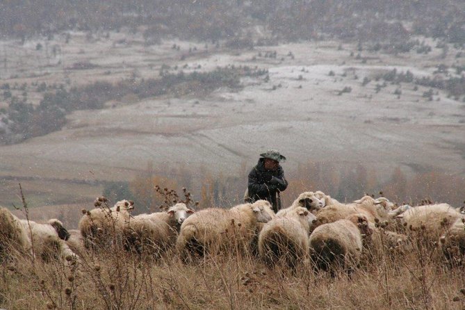 Private Tour to Kazbegi From Tbilisi - Key Points