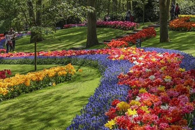 Private Tour to Keukenhof Gardens With Guide - Full Day Tour From Amsterdam - Memorable Experiences and Reviews