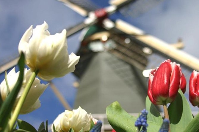 Private Tour to Keukenhof Gardens With Guide - Full Day Tour From Amsterdam - Value of Private Tours