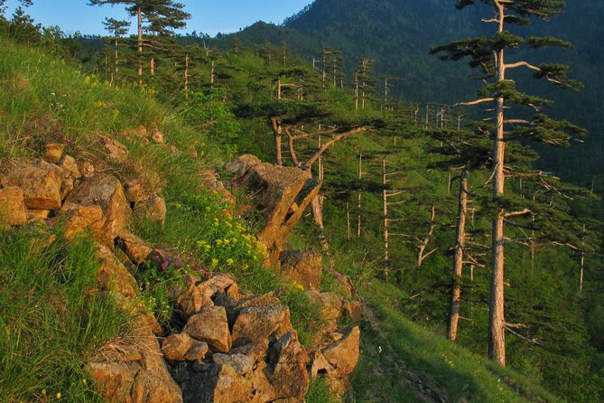 Private Tour to Konjuh : Relaxation in a Protected Landscape - Inclusions