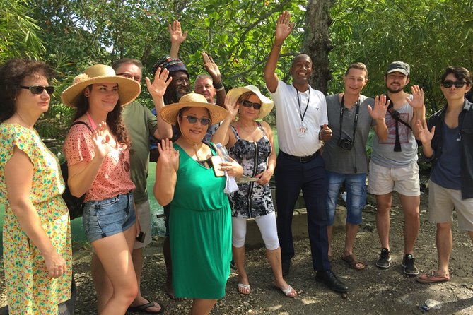 Private Tour to Konoko Falls From Ocho Rios - Reviews