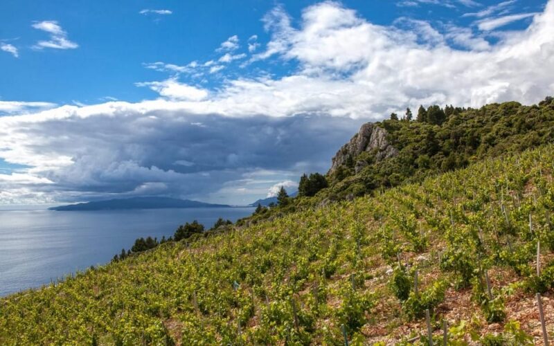 Private Tour to Korčula Island, Ston and Vinery - Pickup and Drop-off