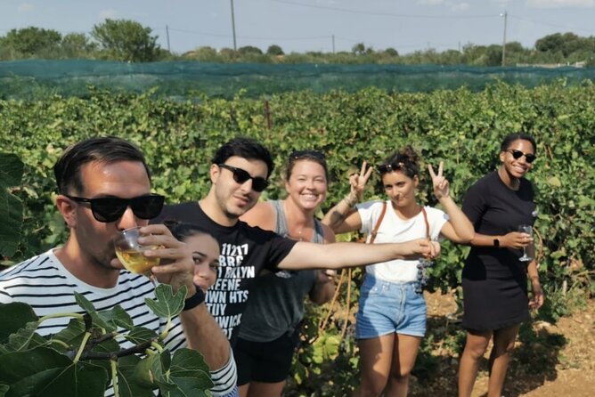 Private Tour to Krka Waterfalls- Lunch Included - Krka Waterfalls Exploration