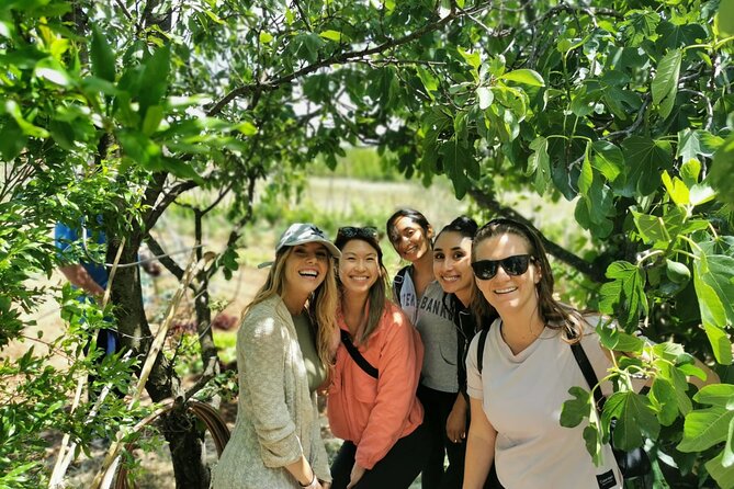 Private Tour to Krka Waterfalls- Lunch Included - Transportation Arrangements