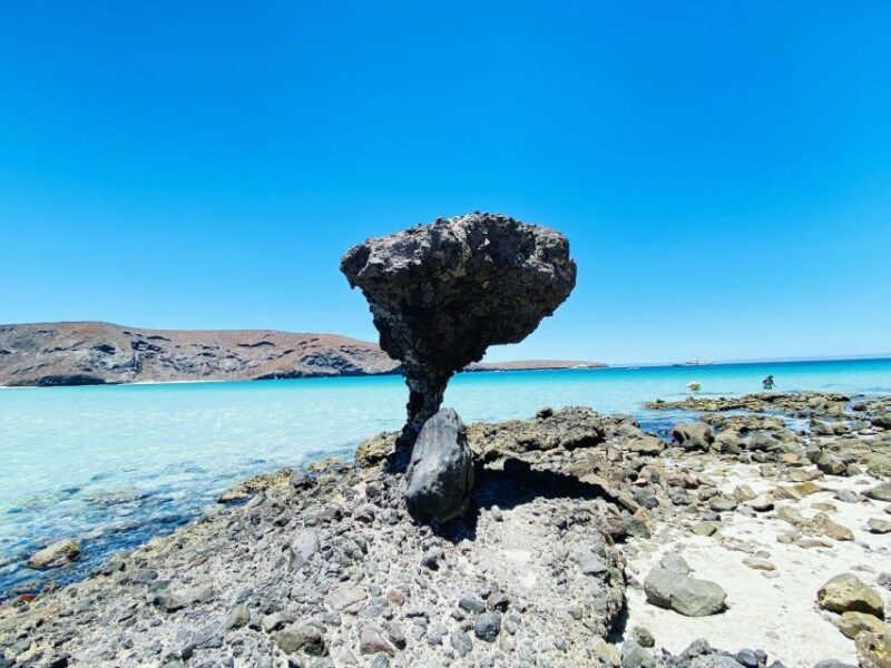 Private Tour to La Paz, Balandra and Todos Santos From CABO - Pickup Locations
