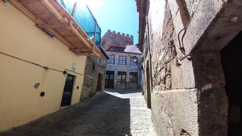 Private Tour to Lamego and Viseu, the Dão Wine Region - Itinerary and Highlights
