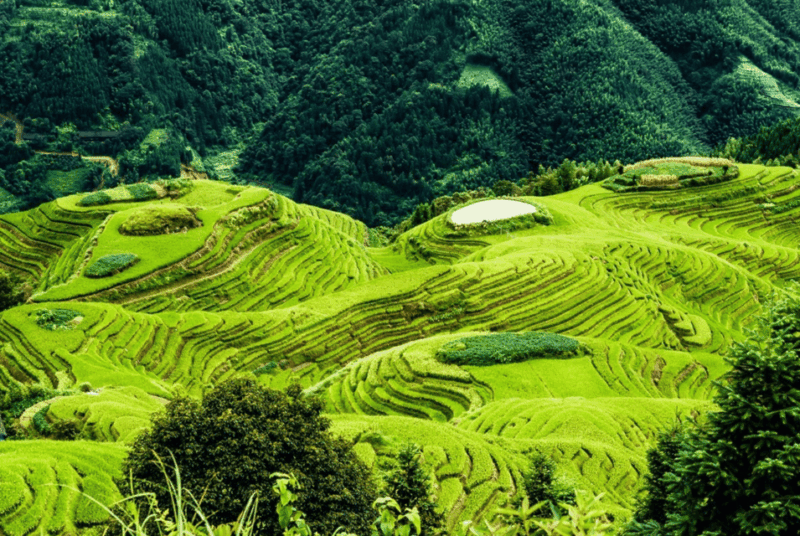 Private Tour to Longsheng Terrace Start From Guilin/Yangshuo - Tour Logistics