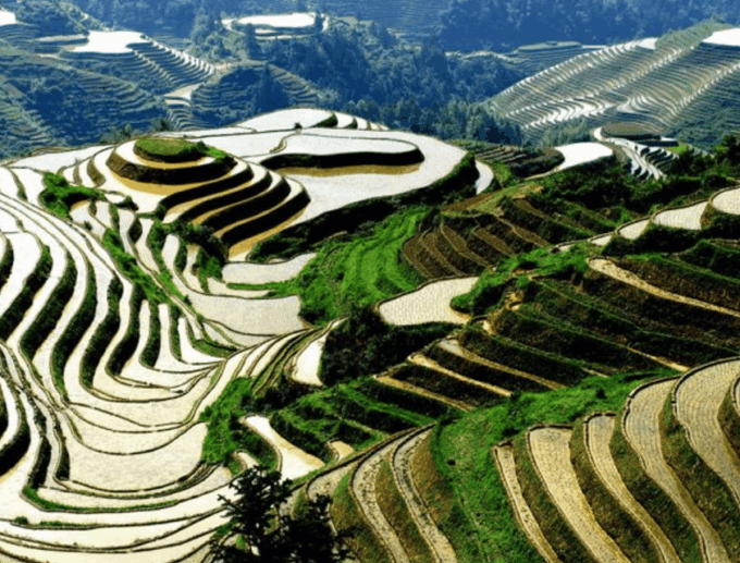 Private Tour to Longsheng Terrace Start From Guilin/Yangshuo - Reservation Options