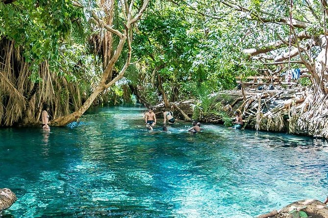 Private Tour to Materuni Waterfalls, Coffee Tour & Kikuletwa Hot- Springs - Materuni Waterfalls Hike