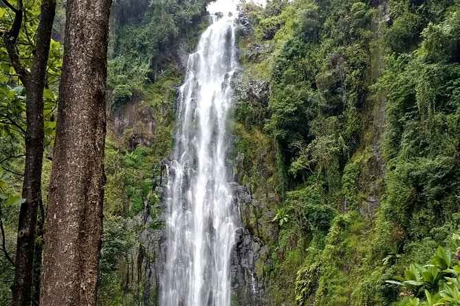 Private Tour to Materuni Waterfalls, Coffee Tour & Kikuletwa Hot- Springs - Kikuletwa Hot Springs