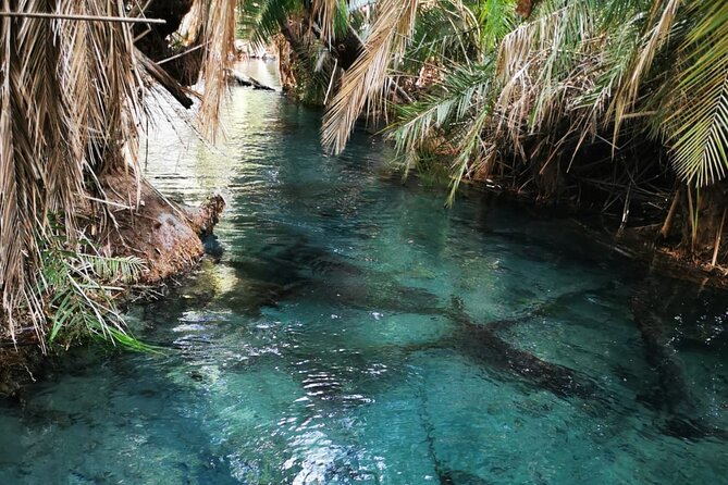 Private Tour to Materuni Waterfalls, Coffee Tour & Kikuletwa Hot- Springs - Participant Information