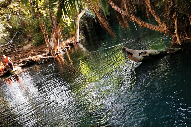 Private Tour to Materuni Waterfalls, Coffee Tour & Kikuletwa Hot- Springs - Pricing and Cancellation