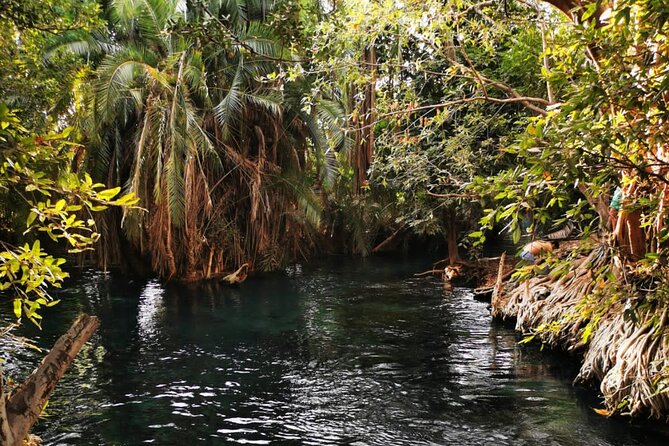 Private Tour to Materuni Waterfalls, Coffee Tour & Kikuletwa Hot- Springs - Exploring Materuni Waterfalls