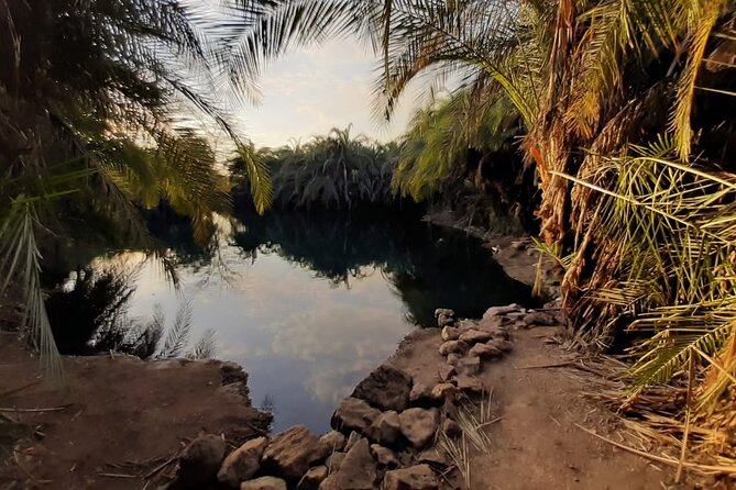 Private Tour to Materuni Waterfalls, Coffee Tour & Kikuletwa Hot- Springs - Visiting a Coffee Farm