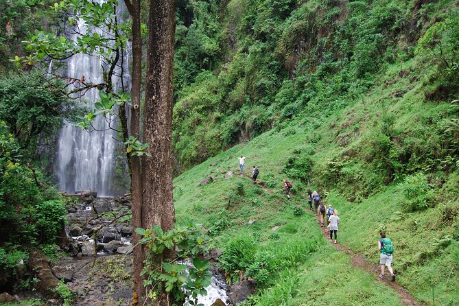Private Tour to Materuni Waterfalls, Coffee Tour, Kikuletwa Hot Springs & Maasai - Overview of the Tour