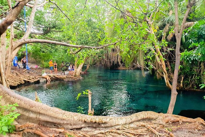 Private Tour to Materuni Waterfalls, Coffee Tour, Kikuletwa Hot Springs & Maasai - Exploring the Coffee Tour