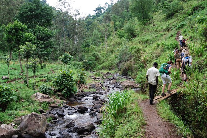 Private Tour to Materuni Waterfalls, Coffee Tour, Kikuletwa Hot Springs & Maasai - Safety and Accessibility Features