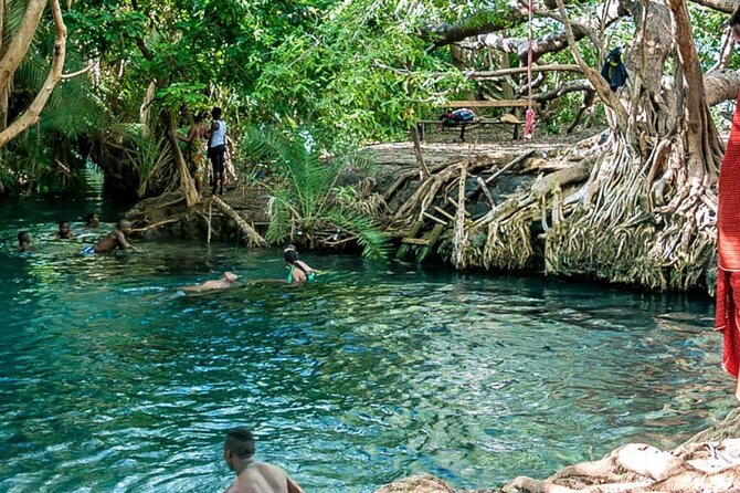 Private Tour to Materuni Waterfalls, Coffee Tour, Kikuletwa Hot Springs & Maasai - Booking Your Stay