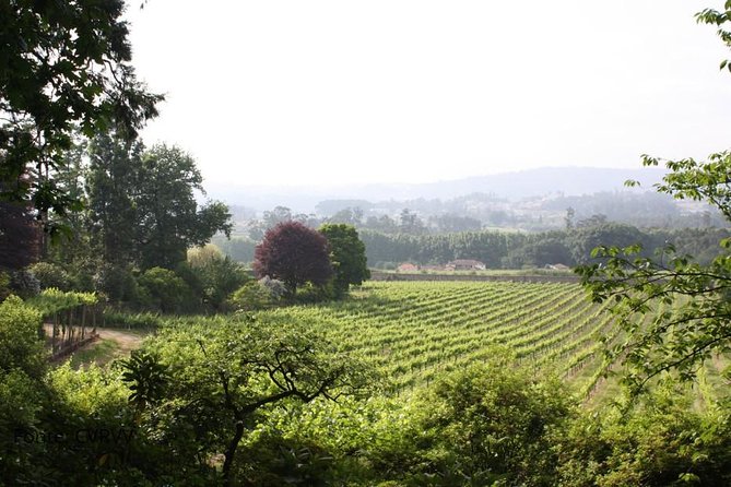 Private Tour to Melgaço and Monção, the Heart of the Alvarinho Region - Tour Overview
