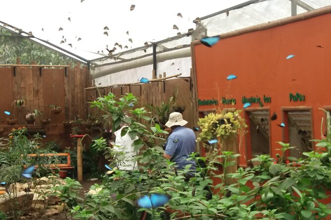 Private Tour to Mindo With Hummingbird Reserve, Tarabita and Butterfly Farm - Key Points