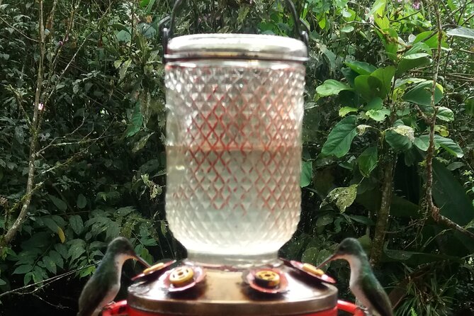 Private Tour to Mindo With Hummingbird Reserve, Tarabita and Butterfly Farm - Meeting and Pickup