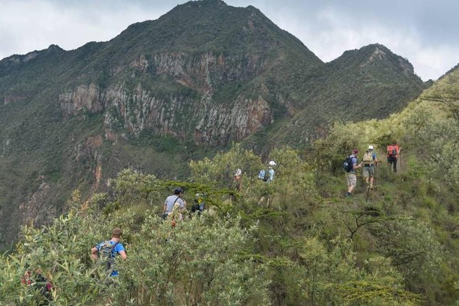 Private Tour to Mount Longonot and Optional Boat Ride on Lake Naivasha - Spotting Birds and Hippos