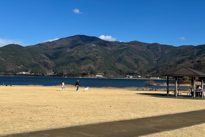 Private Tour to Mt Fuji and Hakone With English Speaking Driver - Tour Details
