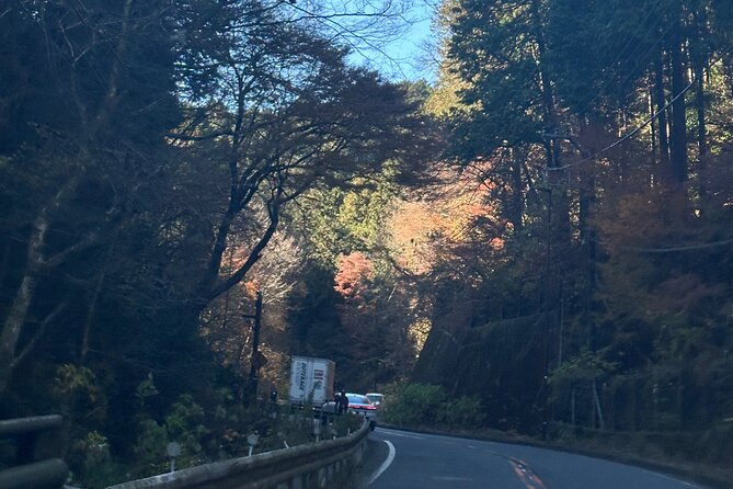 Private Tour to Mt Fuji and Hakone With English Speaking Driver - Exploring Mt. Fuji