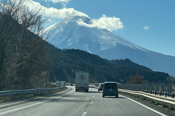 Private Tour to Mt Fuji and Hakone With English Speaking Driver - Why Choose This Tour