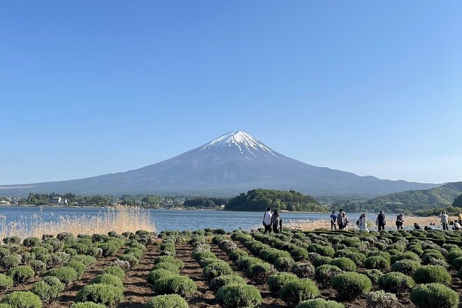 Private Tour to Mt Fuji and Hakone With English Speaking Driver - Inclusions