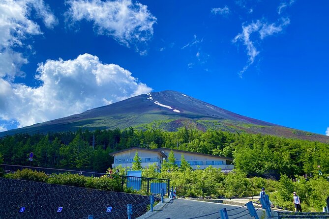 Private Tour to Mt Fuji, Lake Kawaguchi With Limousine and Driver - Transportation Details