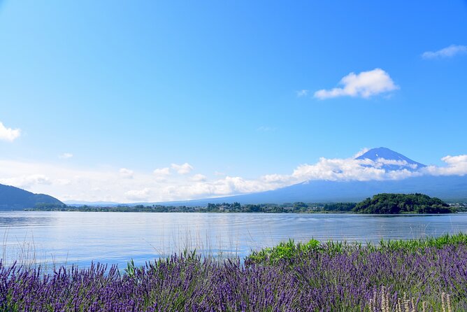 Private Tour to Mt Fuji, Lake Kawaguchi With Limousine and Driver - Toll Road Fees