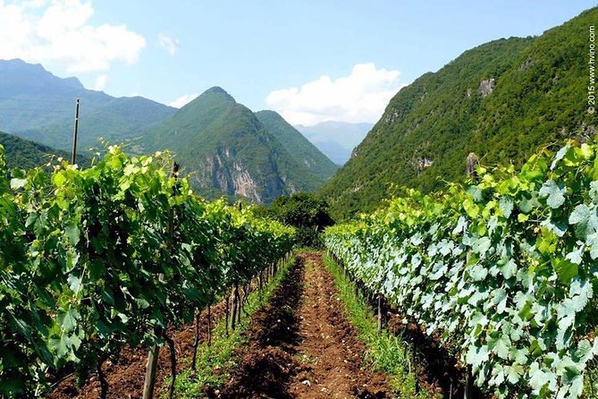 Private Tour to Mtskheta and Georgian Wine Tasting From Tbilisi - Indulging in Georgian Cuisine