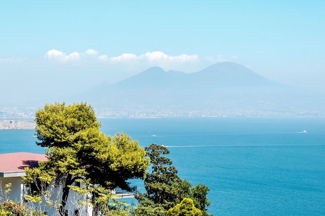 Private Tour to Naples From Sorrento With Pick up and Drop off - Itinerary and Timeline