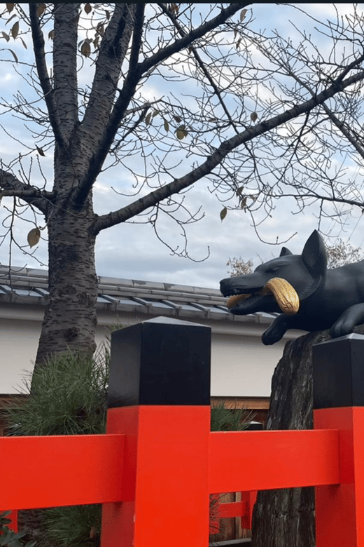 Private Tour to Nara and Inari With Spanish-Speaking Guide - Guest Reviews