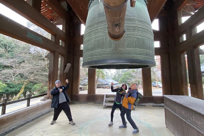 Private Tour to Nara From Osaka With English Speaking Driver - Pricing