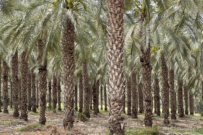Private Tour to Nazareth & Sea of Galilee & Jordan River Yardenit - Exclusive - Cancellation Policy