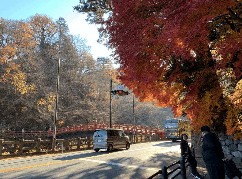 Private Tour to Nikko With A Spanish-Speaking Guide - Important Information