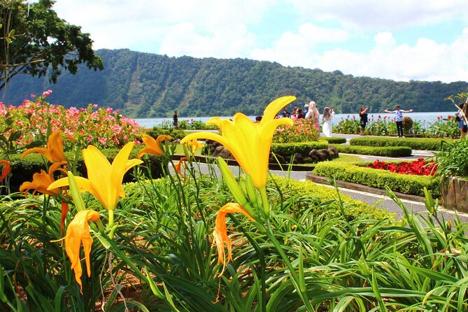 Private Tour to Northern Bali Highland - Transportation Details