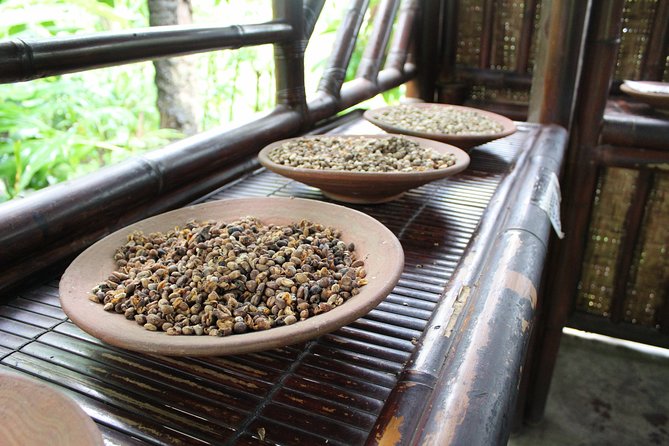 Private Tour to Northern Bali Highland - Pricing and Availability