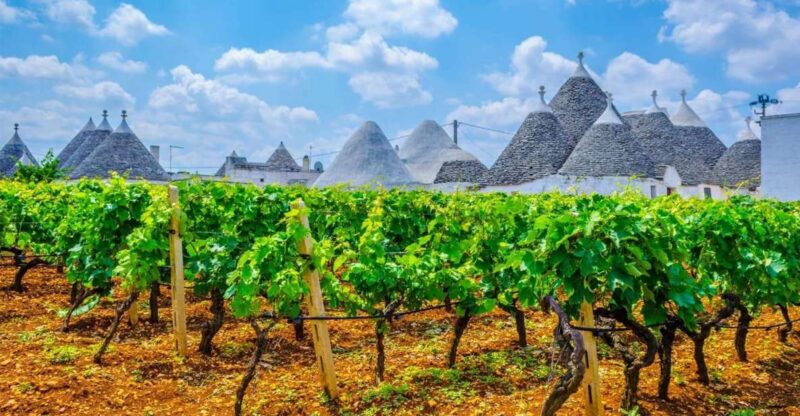 Private Tour to Ostuni, Alberobello, Locorotondo & Winery - Key Points