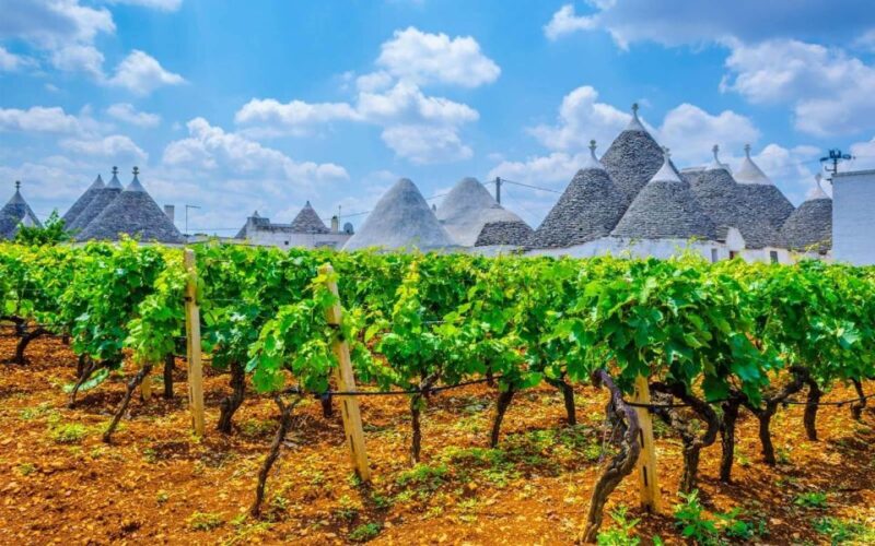 Private Tour to Ostuni, Alberobello, Locorotondo & Winery - Experience Highlights